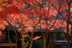 荘厳