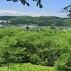 里山