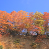 見上げればⅢ