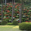 静寂