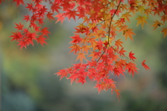 季節の中で
