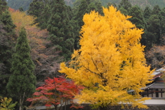 御岳の秋色