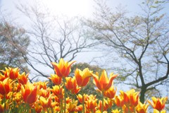 どうなるか、やってみました！