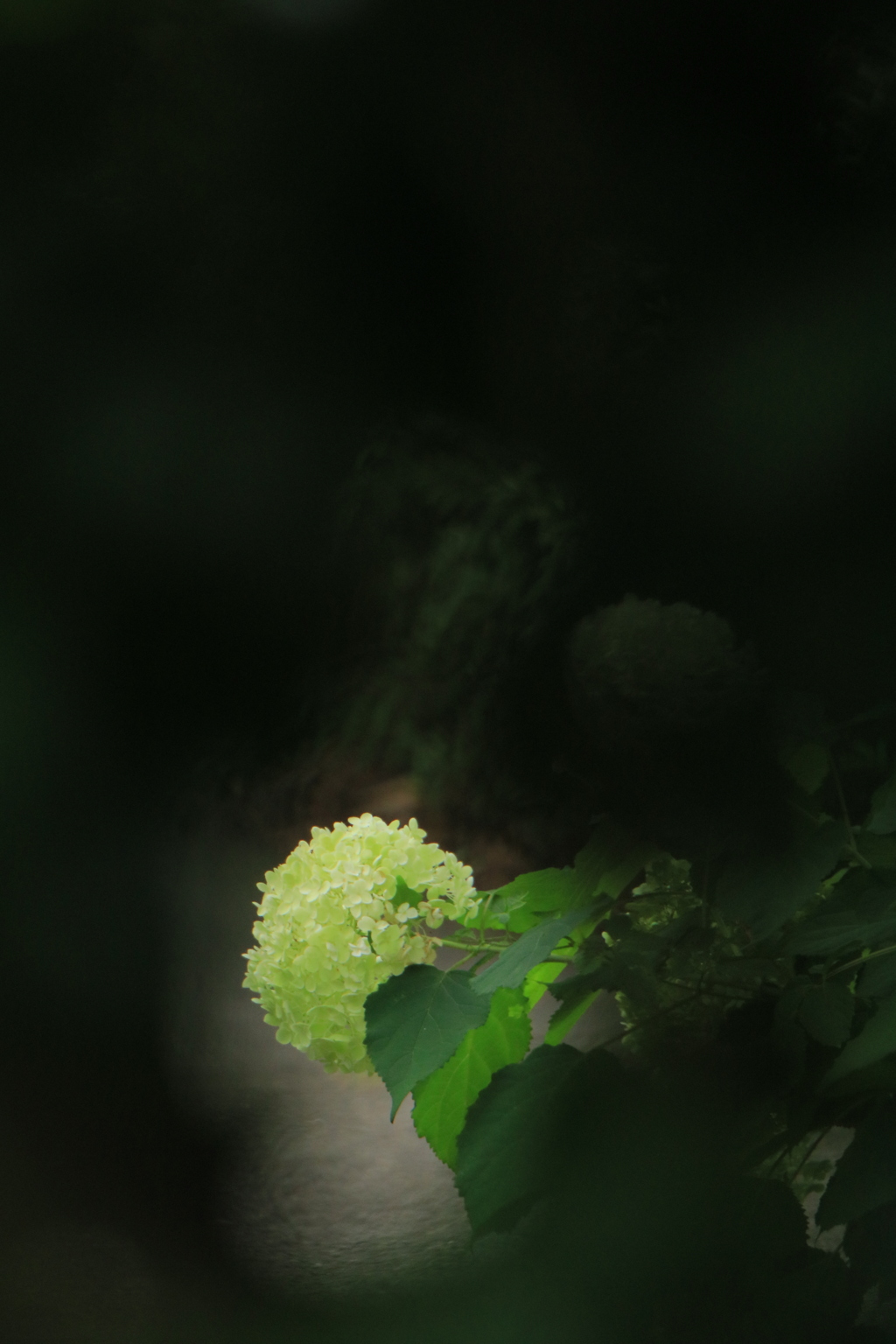 闇夜
