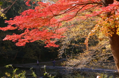 嵐山渓谷