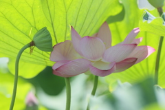 熱中症対策