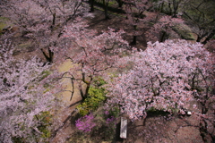 上から失礼しま～す・・・