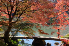 六義園