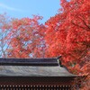 秋燦燦