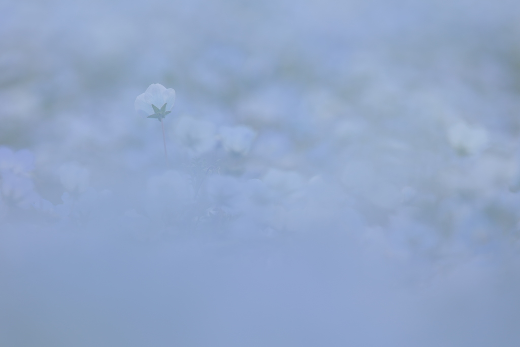 霧の彼方Ⅲ