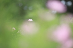 秋の始まり