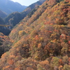 紅葉架橋