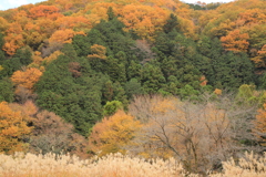 嵐山渓谷の秋