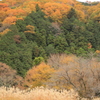嵐山渓谷の秋