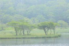 夢現Ⅱ