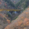 秋深しⅡ