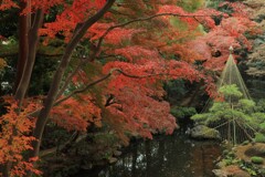 殿ヶ谷戸庭園