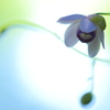 幻想