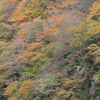渓谷の錦秋Ⅶ