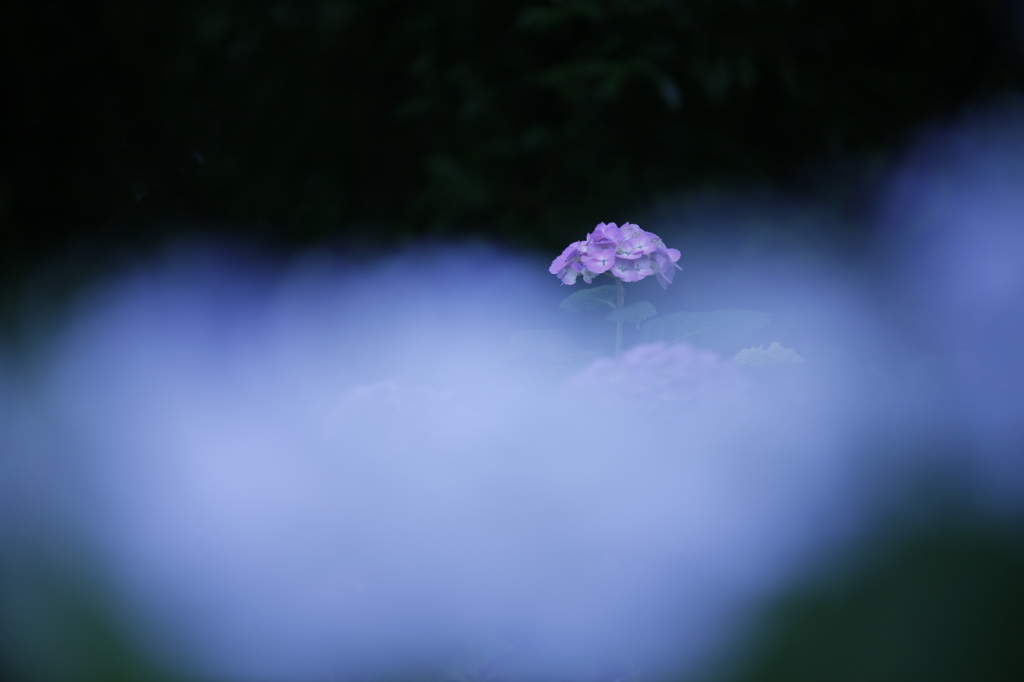 雲上