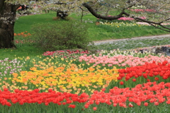 春の花園
