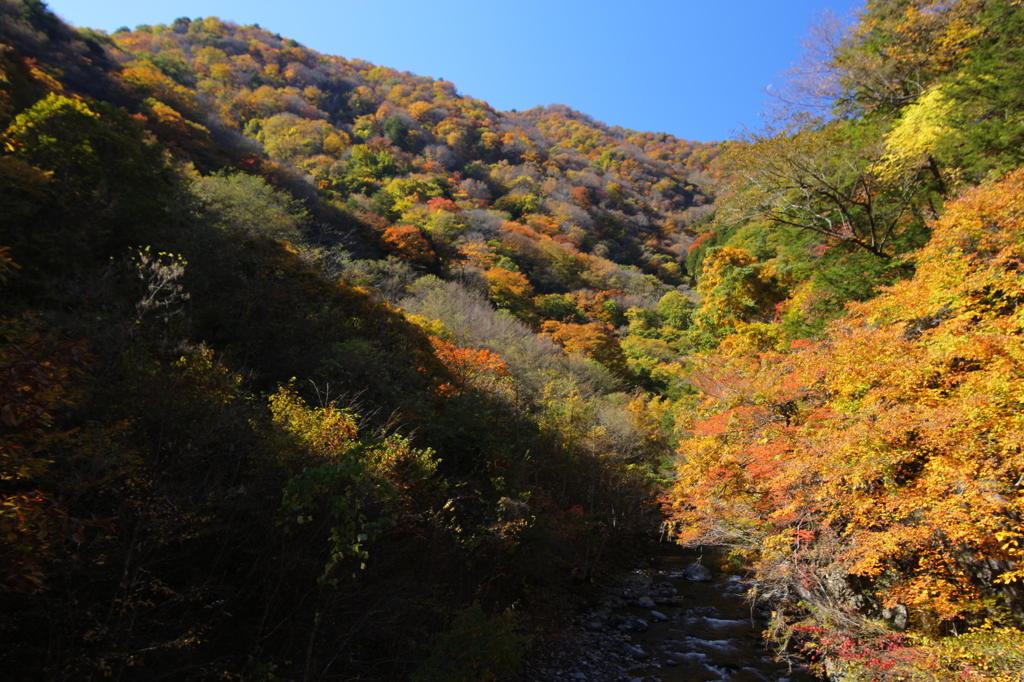 丹波山渓谷の秋