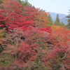 鳥居観音の秋