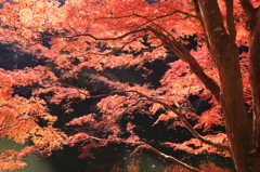 鎌北湖