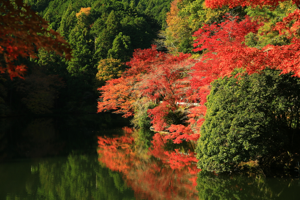 鎌北湖