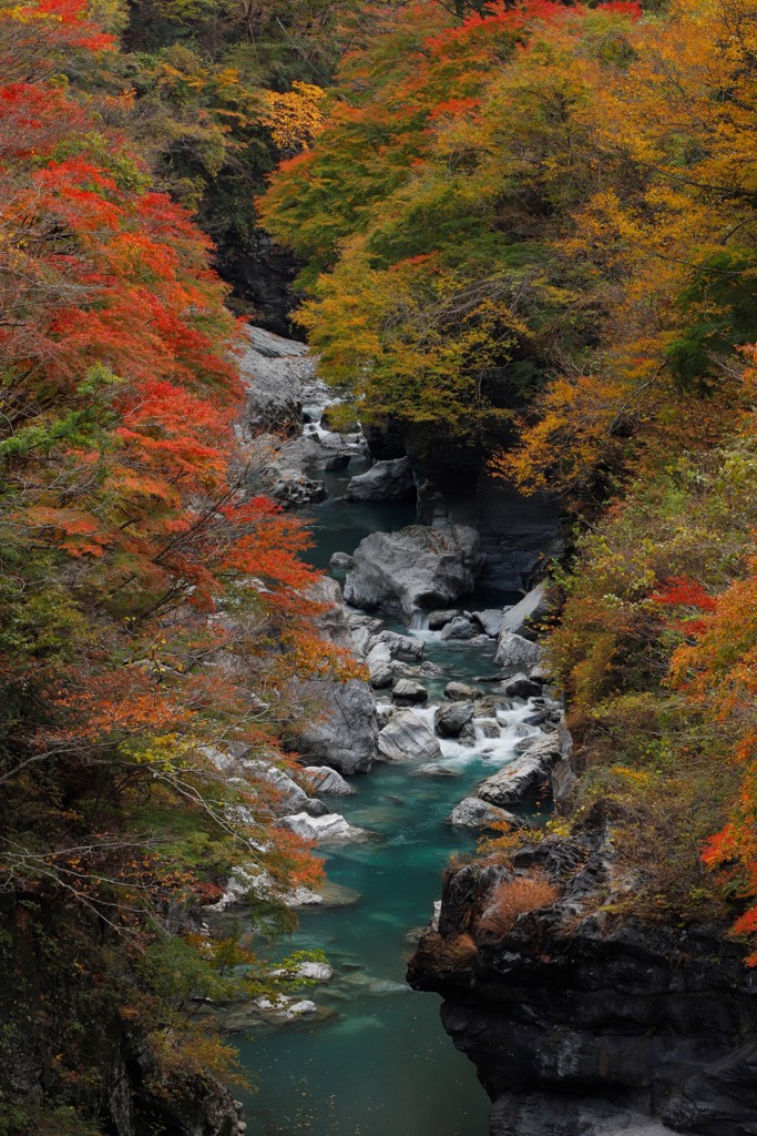 金蔵落しの渓流