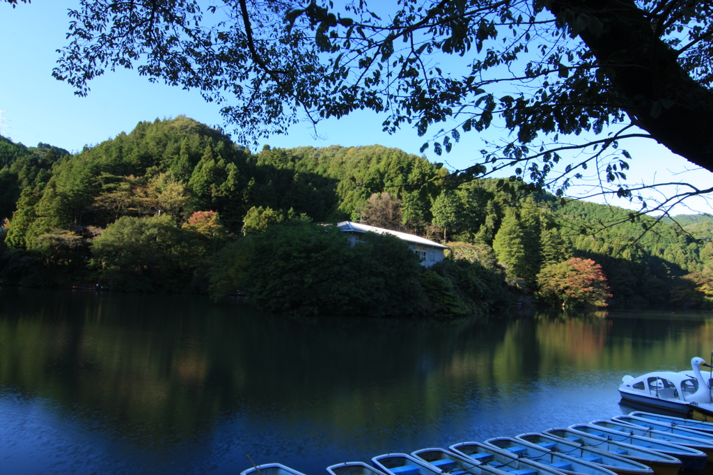 湖