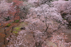 閑