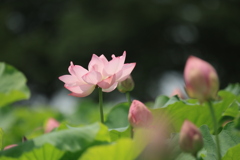 悠然