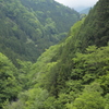深山幽谷の春
