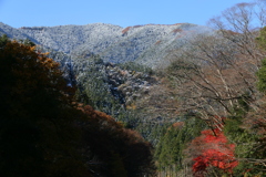 紅一点、雪景色