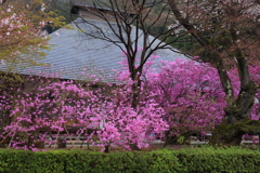 花の寺院