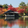紅葉