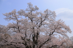 和み