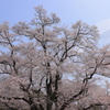 和み