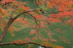 鎌北湖秋景色