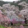 安寧