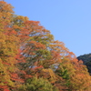 錦秋Ⅹ