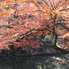 秋景色Ⅵ