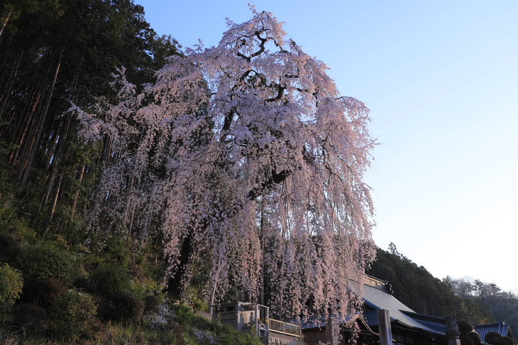 威厳