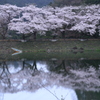 春たけなわ　Ⅲ