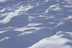 雪砂漠