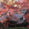 荘厳