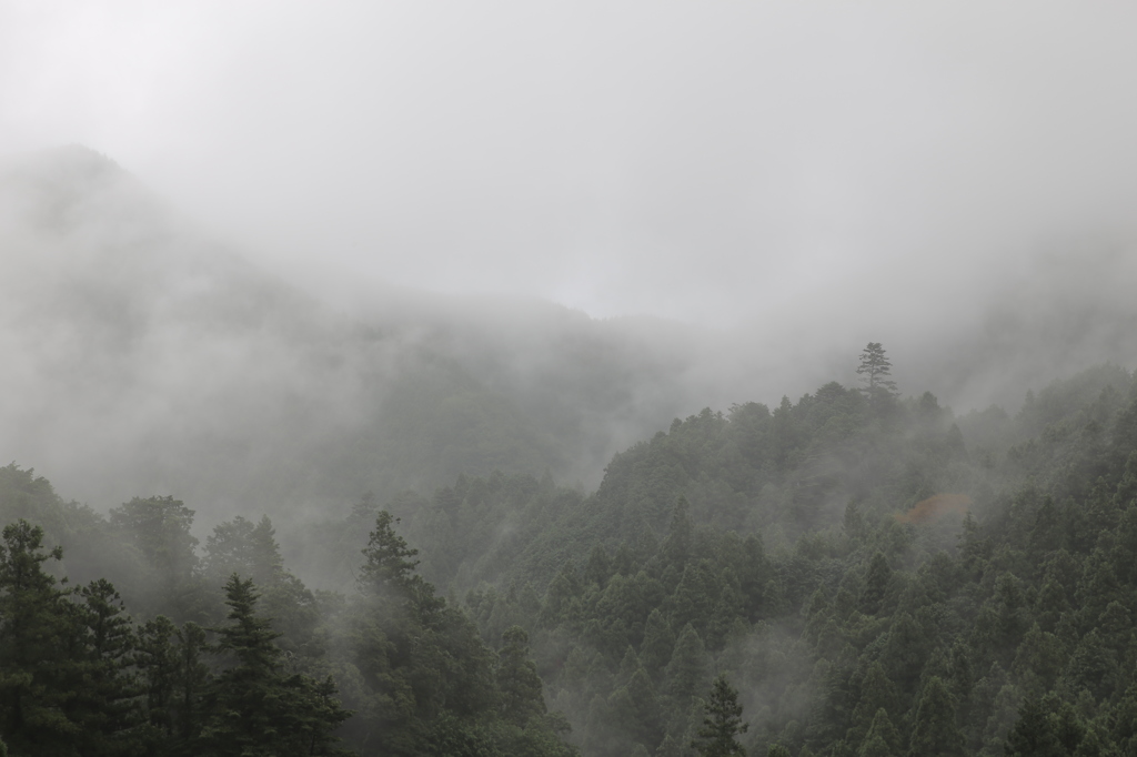 山霧