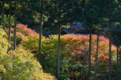 和む
