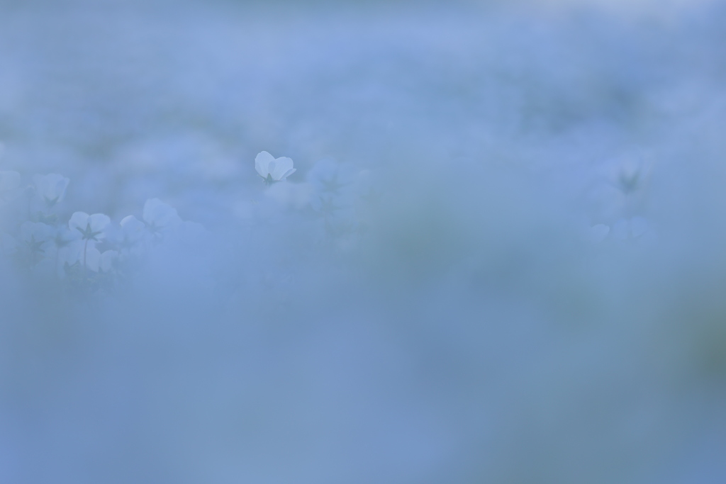 霧の彼方Ⅱ